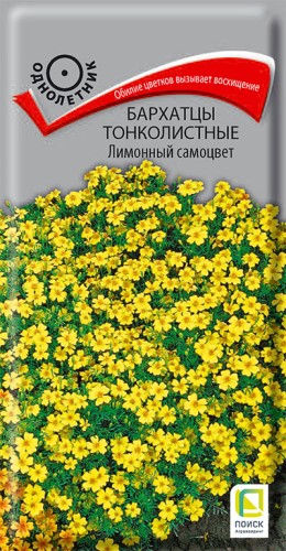 Бархатцы Лимонный Самоцвет тонколистные цв.п 0,1гр Поиск