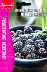 Ежевика Чёрная Магия (Black Magic) цв.п 0,05гр ИП Григорьев