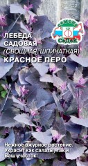 Лебеда Красное Перо декоративная цв.п 0,2гр СеДек