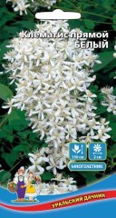 Клематис прямой Белый цв.п 12шт Уральский Дачник
