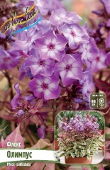 Флокс Олимпус Color Line