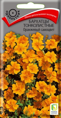 Бархатцы Оранжевый Самоцвет тонколистные цв.п 0,1гр Поиск