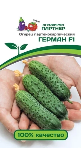 Огурец Герман F1 цв.п 5шт Партнёр