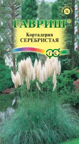 Пампасная Трава (Кортадерия Селло) Серебристая цв.п 8шт Гавриш