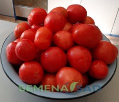 Томат Колхозная Королева цв.п 10шт Медведев