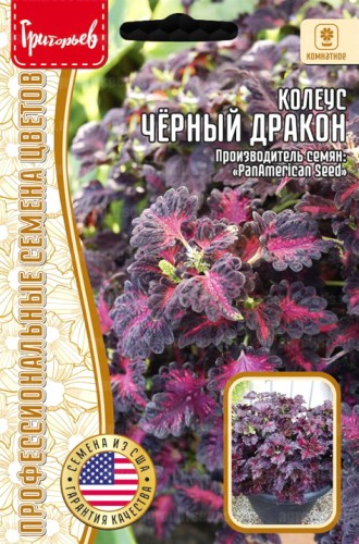 Колеус Чёрный Дракон цв.п 10шт ИП Григорьев