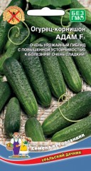 Огурец Адам F1 цв.п 8 шт Уральский Дачник
