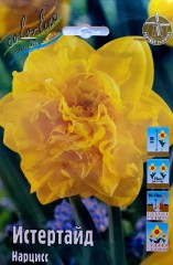 Нарцисс Истертайд Color Line