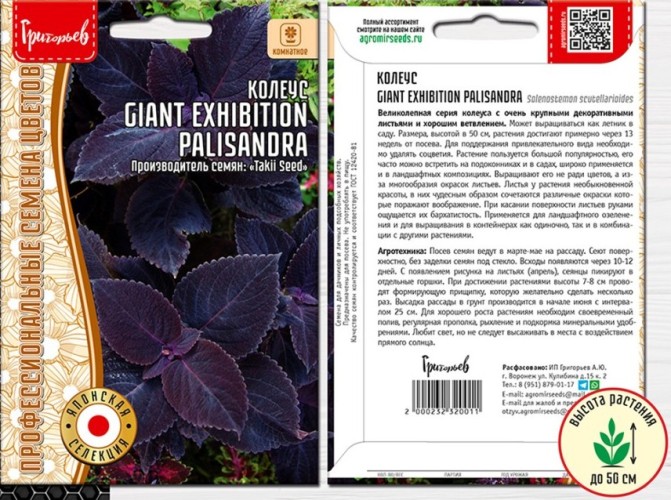 Колеус Giant Exhibition Palisandra цв.п 3шт ИП Григорьев