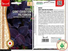 Колеус Giant Exhibition Palisandra цв.п 3шт ИП Григорьев