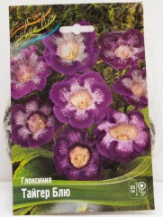 Глоксиния Тайгер Блю Color Line