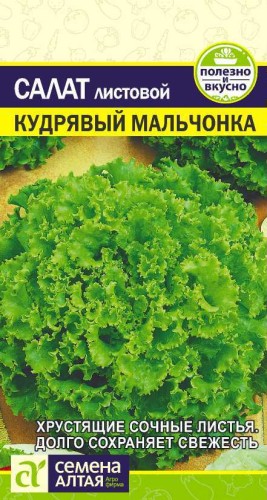 Салат Кудрявый Мальчонка цв.п 0,5гр Семена Алтая