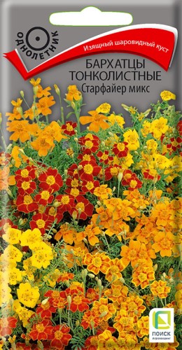 Бархатцы Старфайер Микс тонколистные цв.п 0,1гр Поиск
