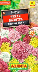 Седум Яркая Палитра, смесь сортов цв.п 0,01гр Аэлита