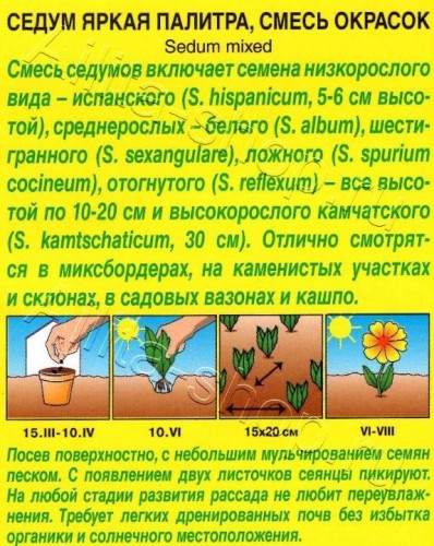 Седум Яркая Палитра, смесь сортов цв.п 0,01гр Аэлита