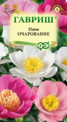 Пион Очарование молочноцветковый цв.п 3шт	Гавриш