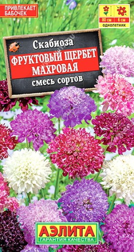 Скабиоза Фруктовый Щербет махровая, смесь сортов цв.п 0,1гр Аэлита
