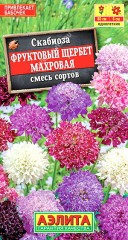 Скабиоза Фруктовый Щербет махровая, смесь сортов цв.п 0,1гр Аэлита