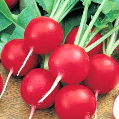 Редис Жара бел.п 3гр Аэлита