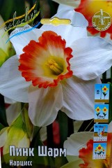 Нарцисс Пинк Шарм Color Line
