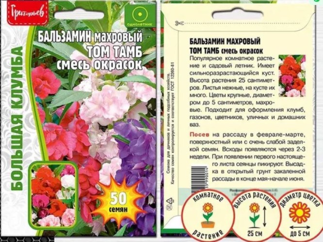 Бальзамин Том Тамб смесь махровый цв.п 50шт ИП Григорьев