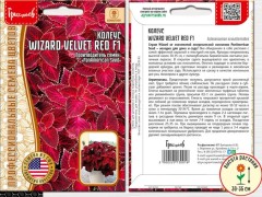 Колеус Визард Вельвет Ред F1 цв.п 5шт ИП Григорьев