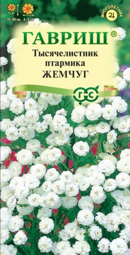 Тысячелистник Жемчуг таволговый белый цв.п 0,1гр Гавриш