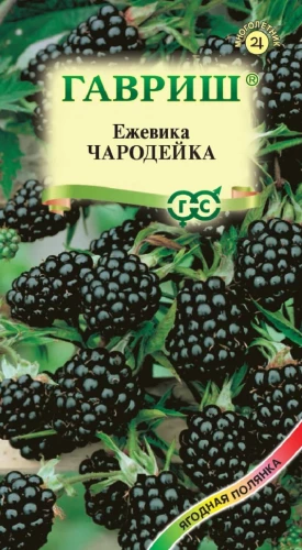Ежевика Чародейка цв.п 10шт Гавриш