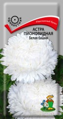 Астра Белая Башня пионовидная цв.п 0,3гр Поиск