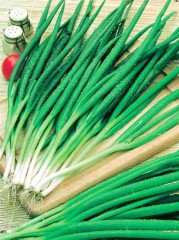 Лук батун Апрельский б.п 0,2гр Аэлита