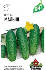 Огурец Малыш цв.п 0,5гр Удачные Семена