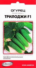Огурец Трилоджи F1 цв.п 6шт Сортсемовощ