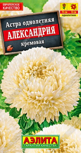 Астра Александрия кремовая цв.п 0,1гр Аэлита