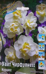 Нарцисс Уайт Чирфулнесс Color Line
