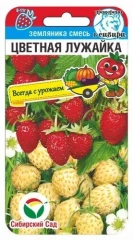 Земляника Цветная Лужайка цв.п 10шт Сибирский Сад