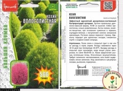 Кохия  (Kochia trichophylla) цв.п 500шт ИП Григорьев