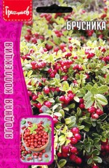 Брусника цв.п 0,05гр ИП Григорьев