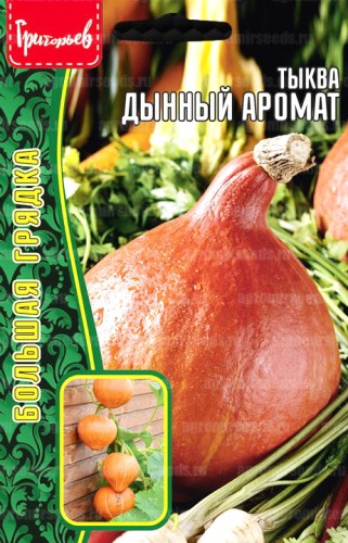Тыква Дынный Аромат цв.п 15шт ИП Григорьев