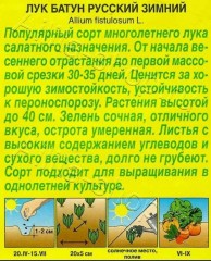 Лук батун Русский Зимний б.п 0,2гр Аэлита