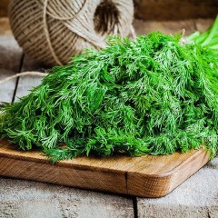 Укроп Грибовский мет.п 2гр Аэлита