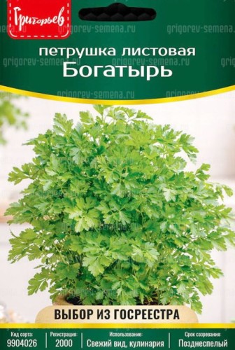 Петрушка листовая Богатырь цв.п 3гр ИП Григорьев
