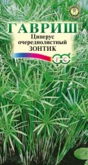 Циперус Зонтик цв.п 0.05гр Гавриш