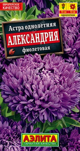 Астра Александрия фиолетовая цв.п 0,1гр Аэлита