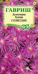 Делосперма Купера Созвездие цв.п 7шт Гавриш