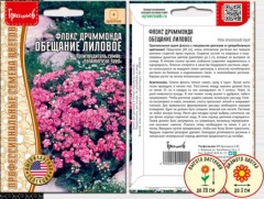 Флокс Друммонда Обещание Лиловое цв.п 5шт ИП Григорьев