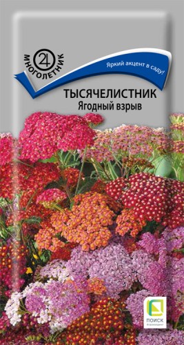 Тысячелистник Ягодный Взрыв цв.п 10шт Поиск