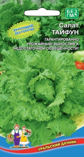 Салат Тайфун цв.п 0,25гр Уральский Дачник