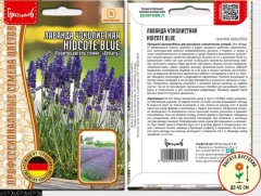 Лаванда Hidcote Blue узколистная цв.п 10шт ИП Григорьев