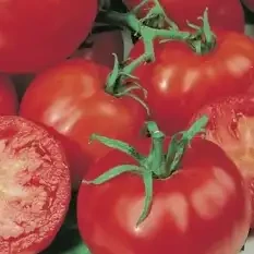 Томат Уральский Дачник цв.п 20шт Гетерозисная Селекция