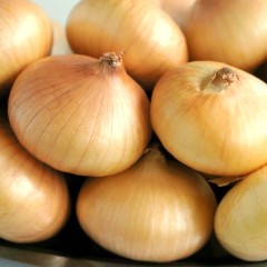 Лук репчатый Мячковский 300 цв.п 2гр СеДек